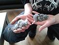 Click image for larger version

Name:	20130428_122657.jpg
Views:	28
Size:	55,4 KB
ID:	431348
