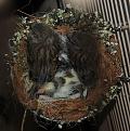 Click image for larger version

Name:	14e dagfoto 3 (Small).jpg
Views:	19
Size:	48,2 KB
ID:	431431