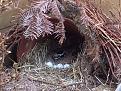 Click image for larger version

Name:	IMG_1592.jpg
Views:	28
Size:	69,4 KB
ID:	433153