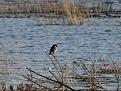 Click image for larger version

Name:	DSC02065.jpg
Views:	61
Size:	56,9 KB
ID:	434487