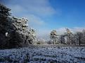 Click image for larger version

Name:	DSC02542.jpg
Views:	74
Size:	68,8 KB
ID:	434984