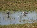 Click image for larger version

Name:	DSC02905.jpg
Views:	83
Size:	76,8 KB
ID:	435067