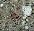 Click image for larger version

Name:	DSC02689.jpg
Views:	88
Size:	97,9 KB
ID:	435329