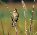 Click image for larger version

Name:	IMG_2184.jpg
Views:	121
Size:	42,7 KB
ID:	435482
