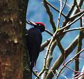 Click image for larger version

Name:	IMG_7317.jpg
Views:	99
Size:	98,6 KB
ID:	435545