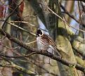 Click image for larger version

Name:	IMG_8126.jpg
Views:	97
Size:	100,6 KB
ID:	435551