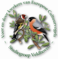 Click image for larger version

Name:	logo Studiegroep.png
Views:	17
Size:	173,5 KB
ID:	438898