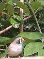 Click image for larger version

Name:	20140717_153046_resized.jpg
Views:	33
Size:	88,2 KB
ID:	439561