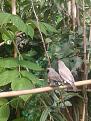 Click image for larger version

Name:	20140717_153322_resized.jpg
Views:	33
Size:	95,3 KB
ID:	439563