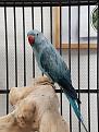Click image for larger version

Name:	kilian.jpg
Views:	22
Size:	114,1 KB
ID:	440727